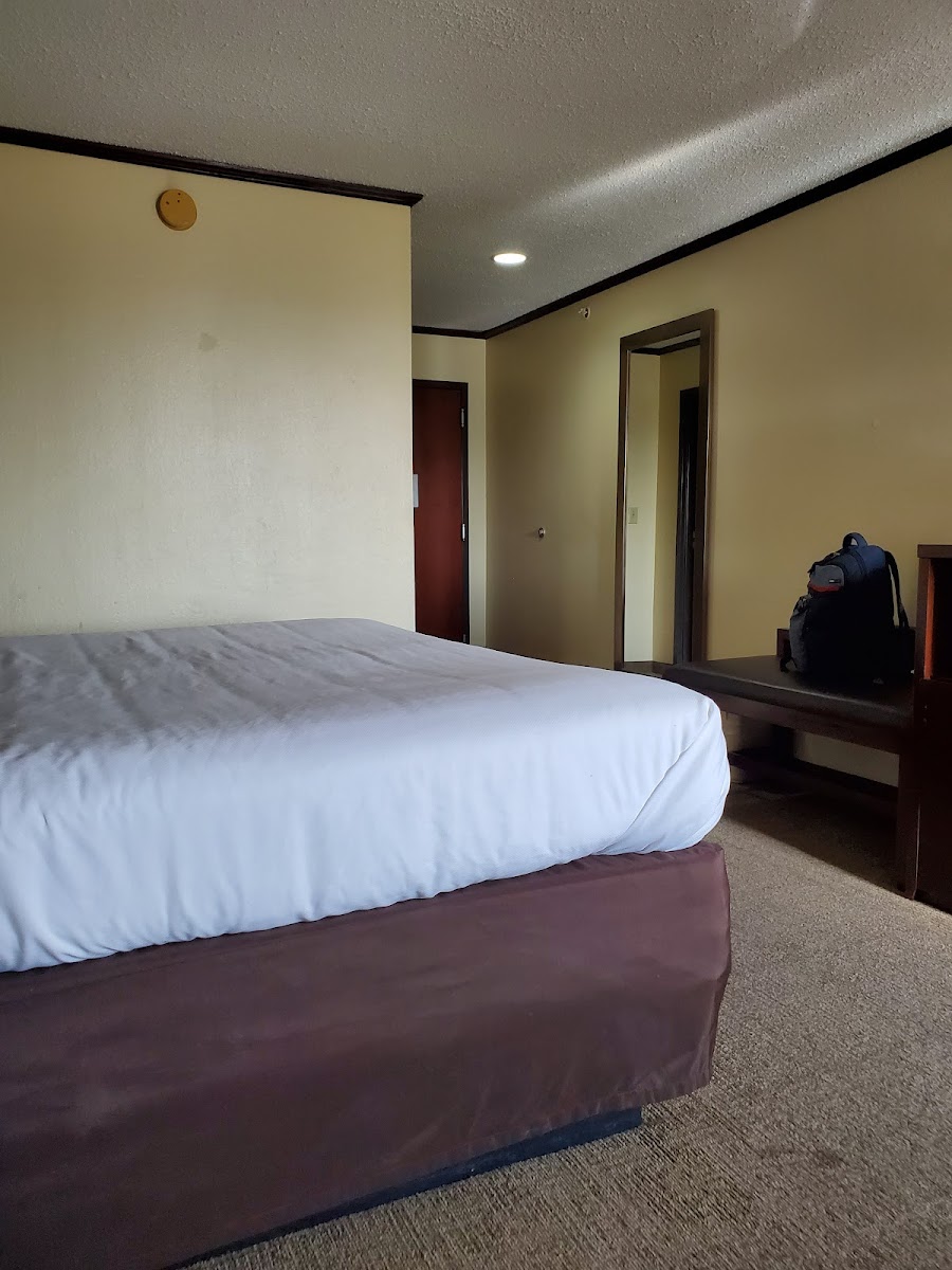 Room 7