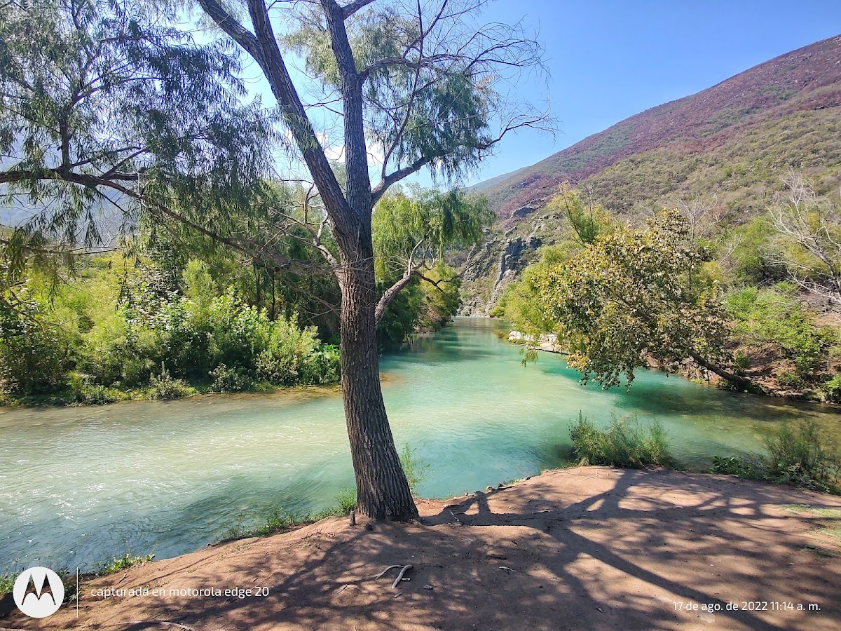 Los Nogales