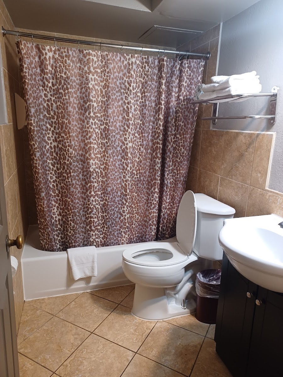 Room 6
