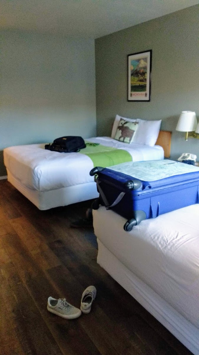Room 9
