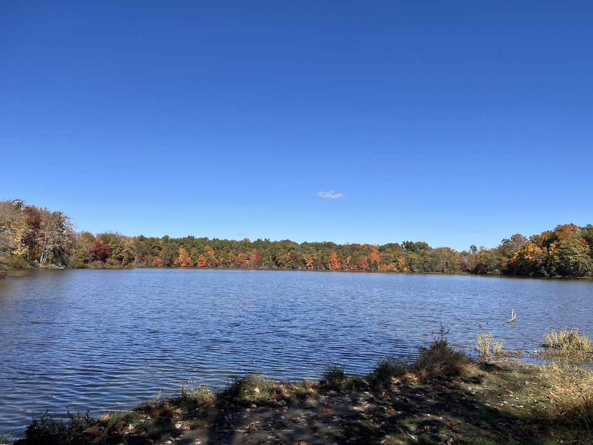 Grant Lake
