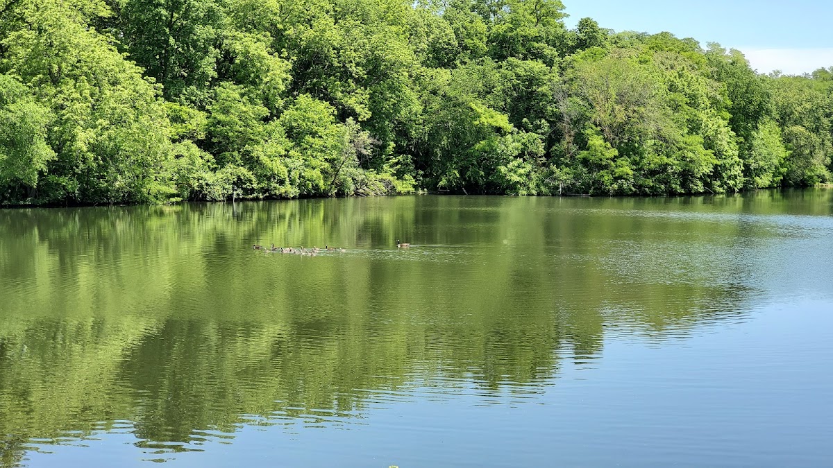 Nauvoo State Park