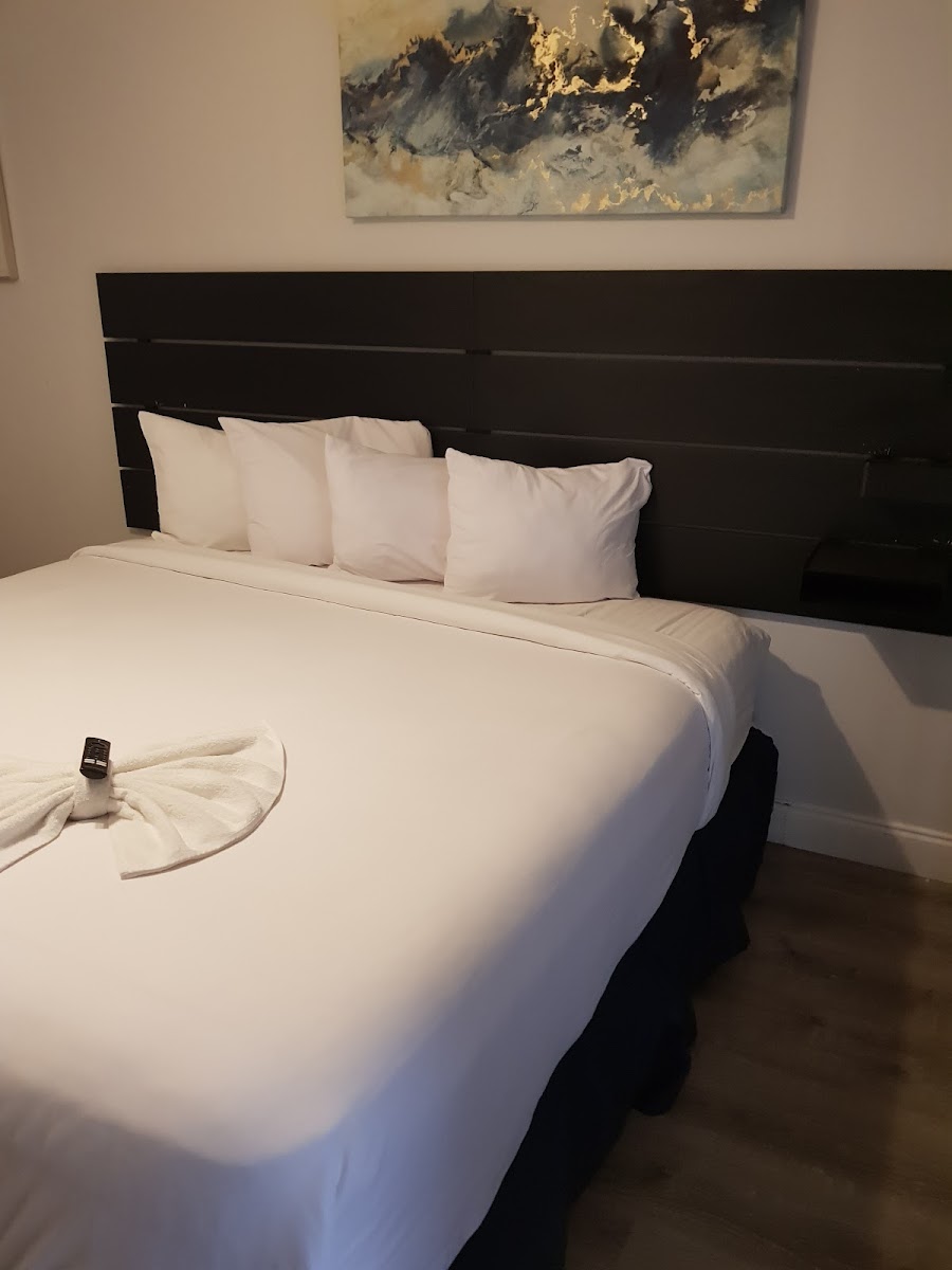 Room 5