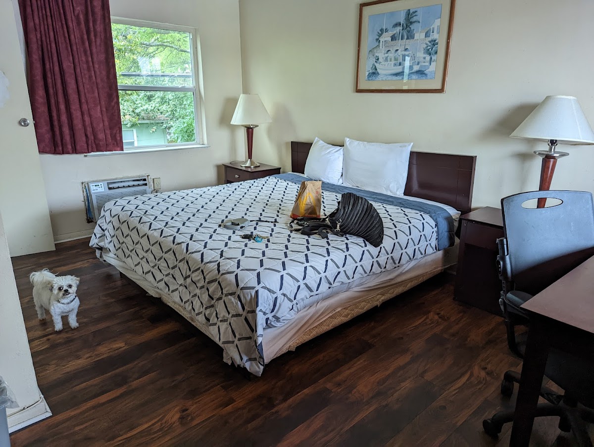 Room 1