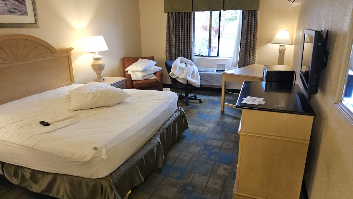 Room 4
