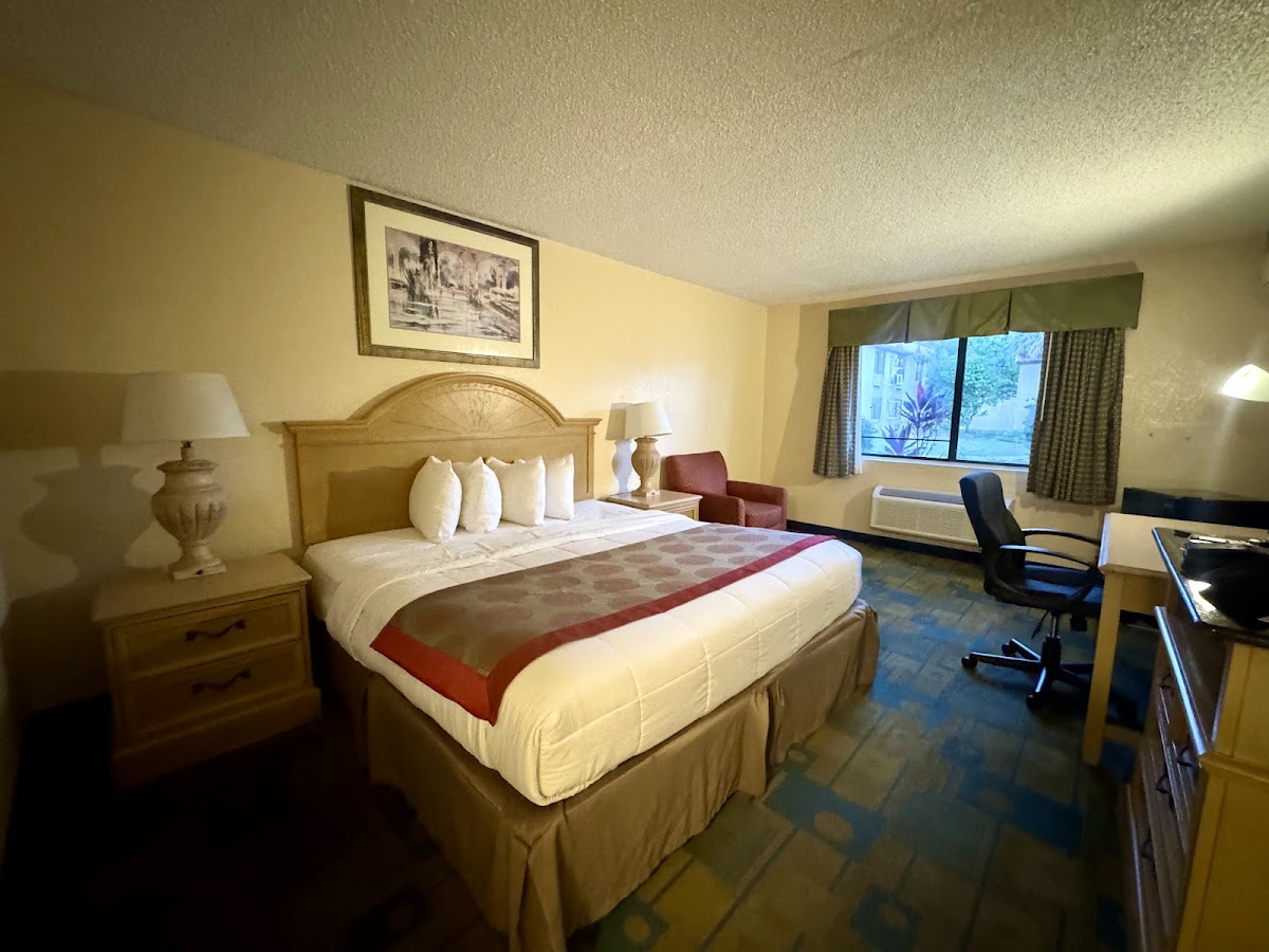 Room 5