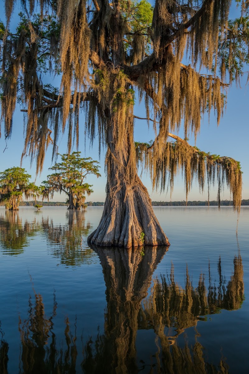Lake Martin, Louisiana