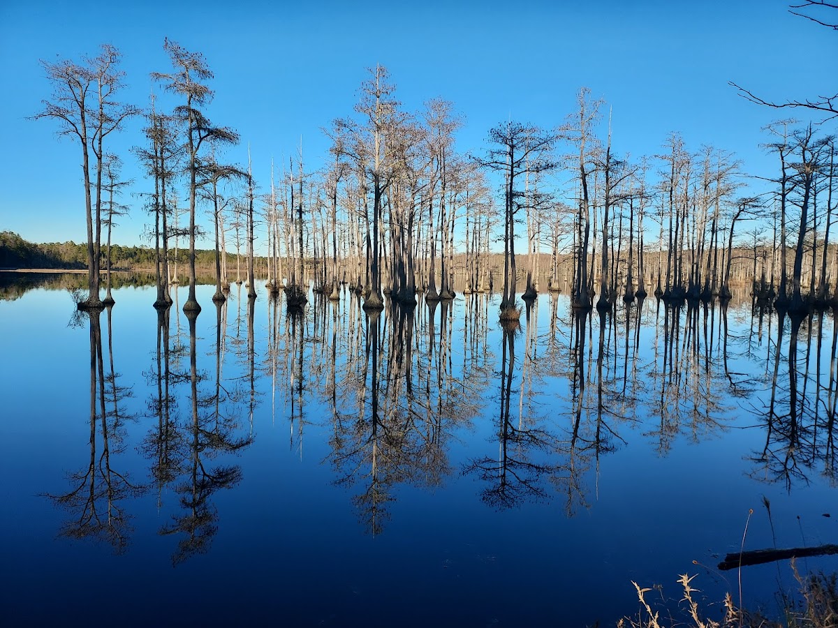 Goodale State Park