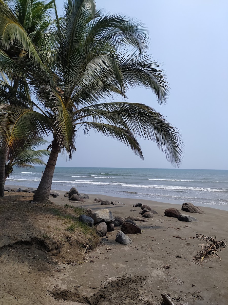 Playa Mata de Uva