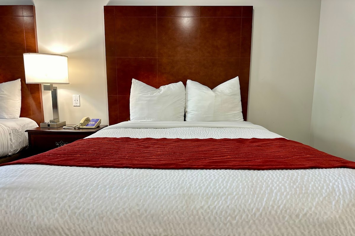 Room 4