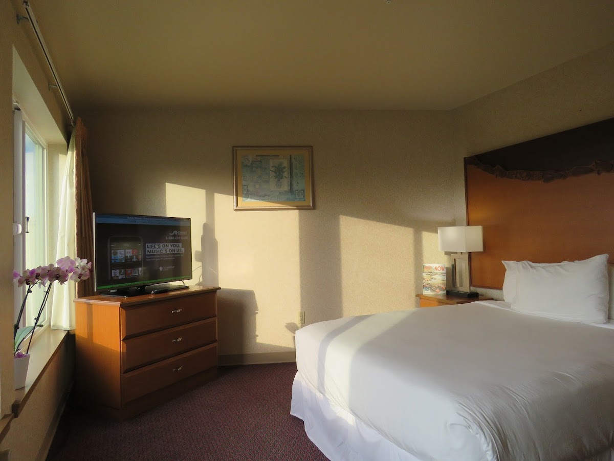 Room 5