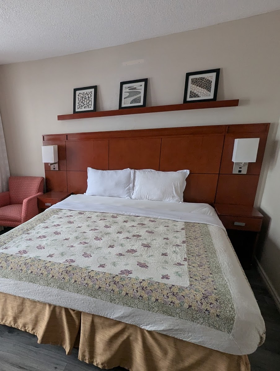 Room 7
