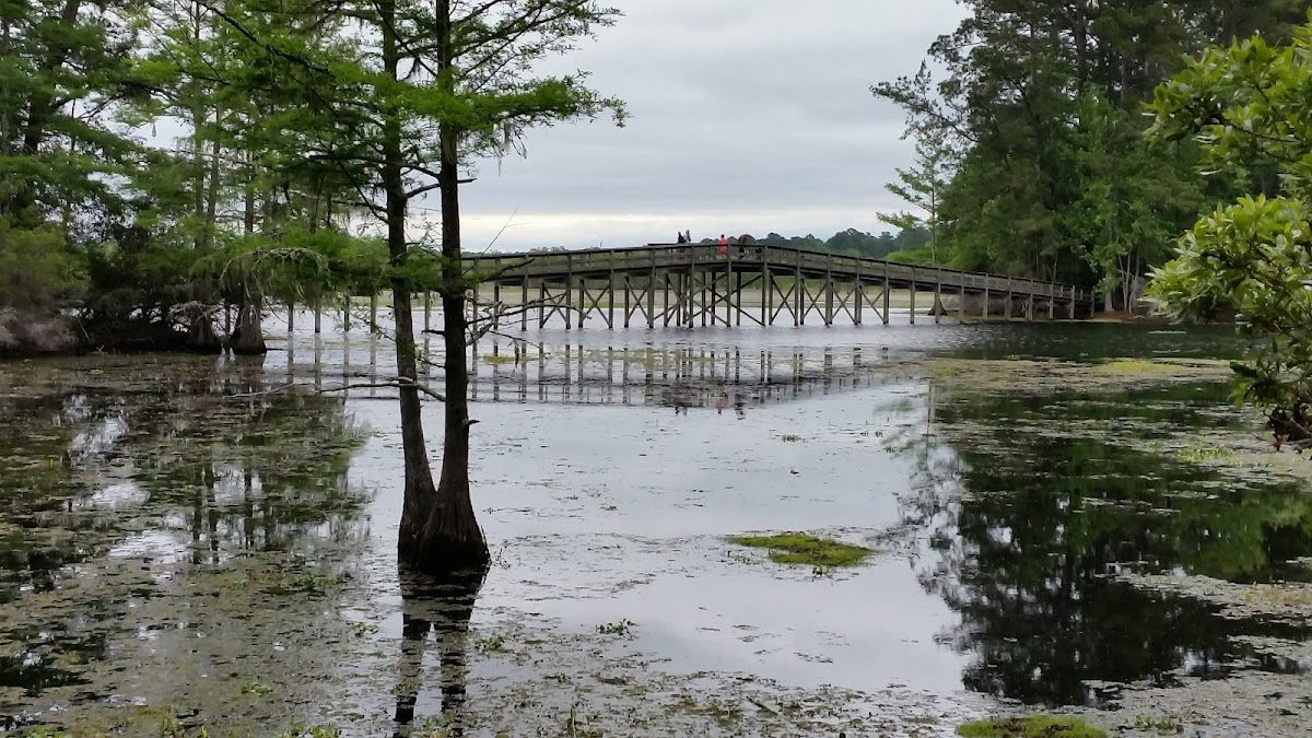 Martin Dies, Jr. State Park