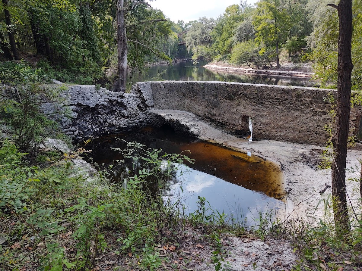 Suwannee Springs