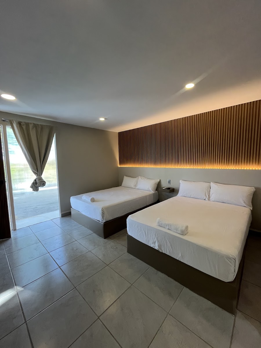 Room 1