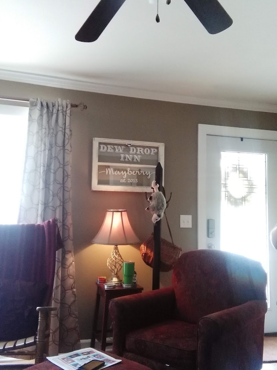 Room 4