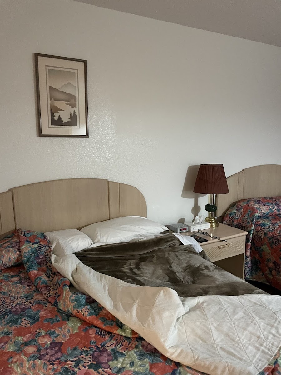 Room 5