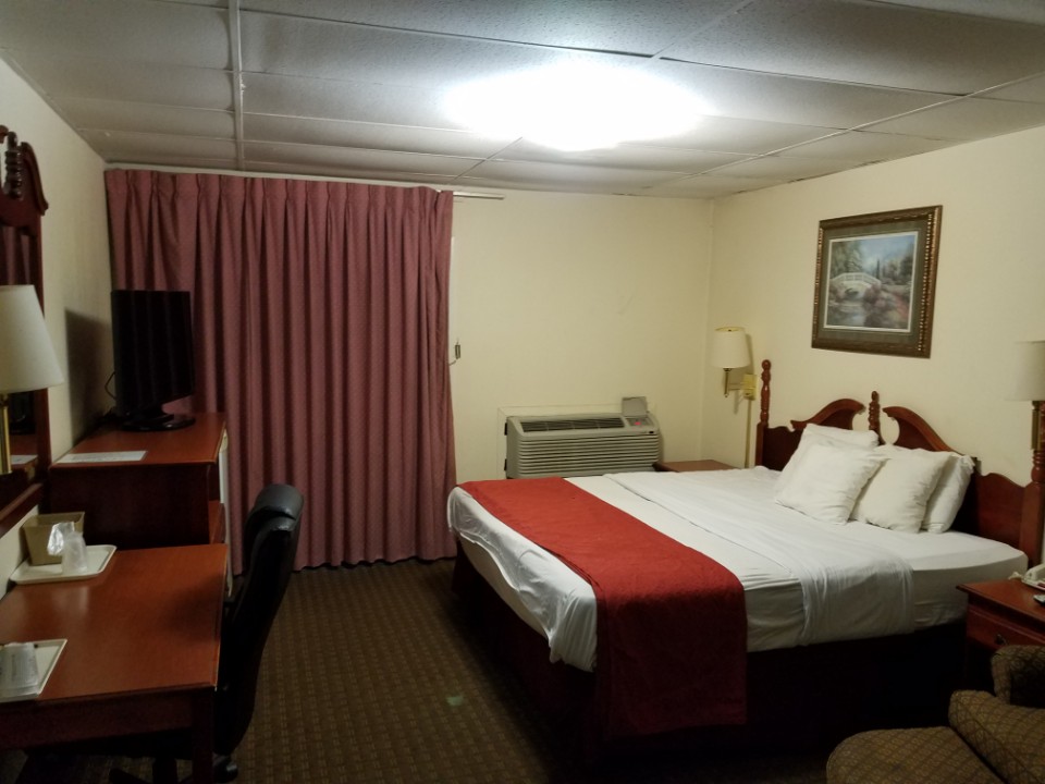 Room 5