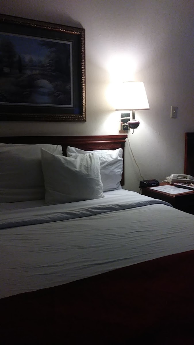 Room 6