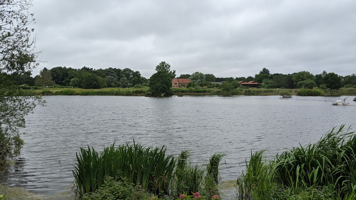 Pensthorpe