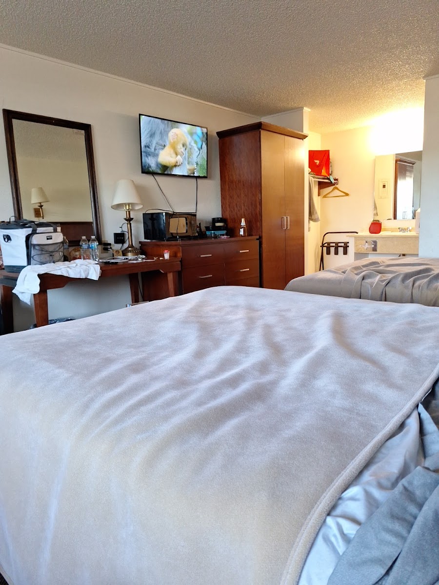 Room 4