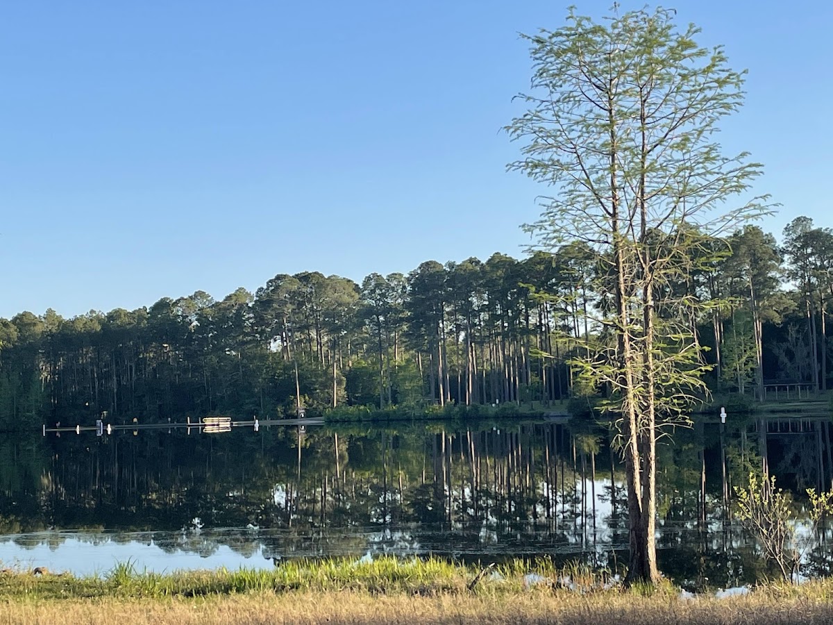 Laura S. Walker State Park