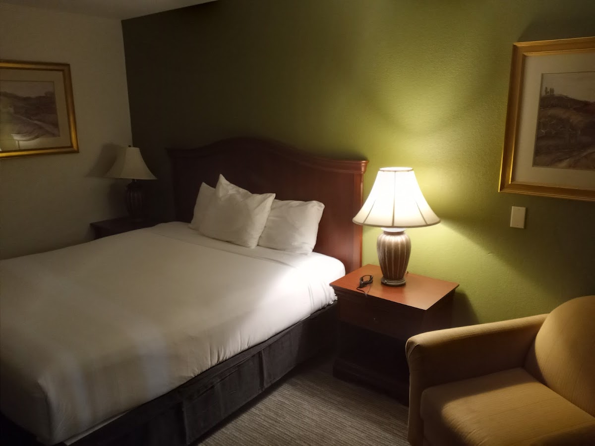 Room 6