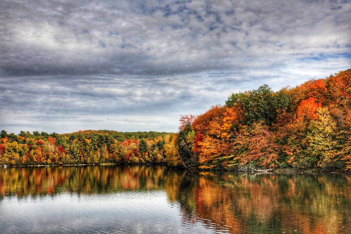 Parc national du Mont-Saint-Bruno