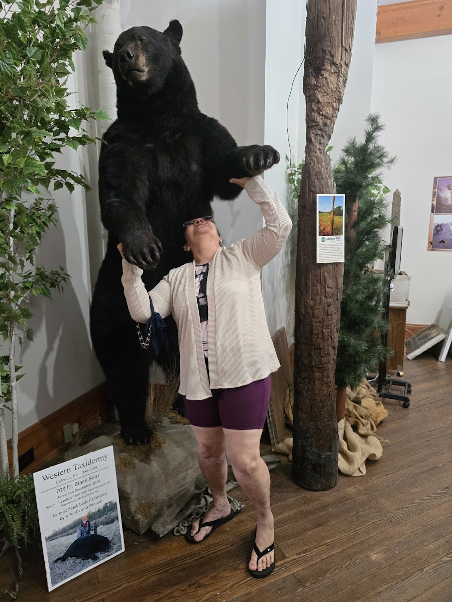Bear-ology