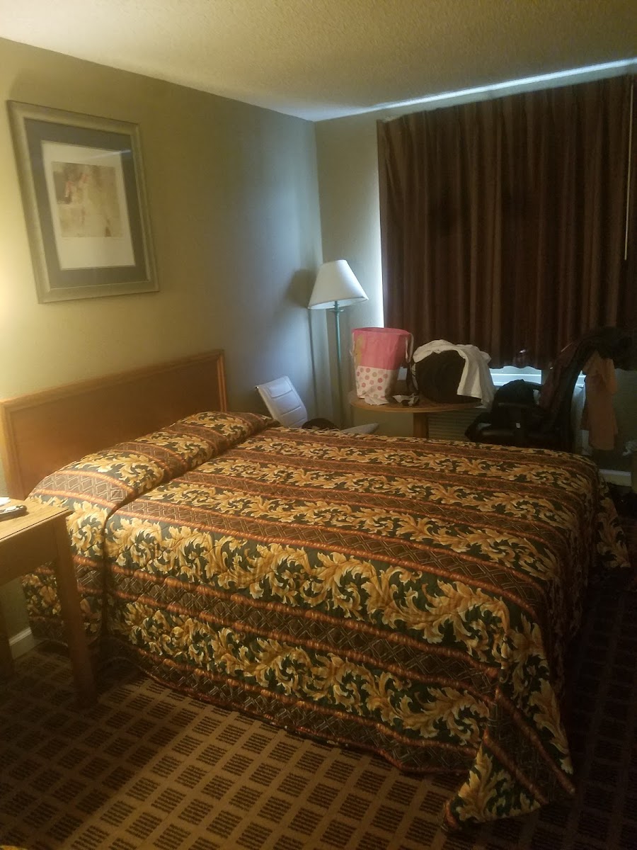 Room 1