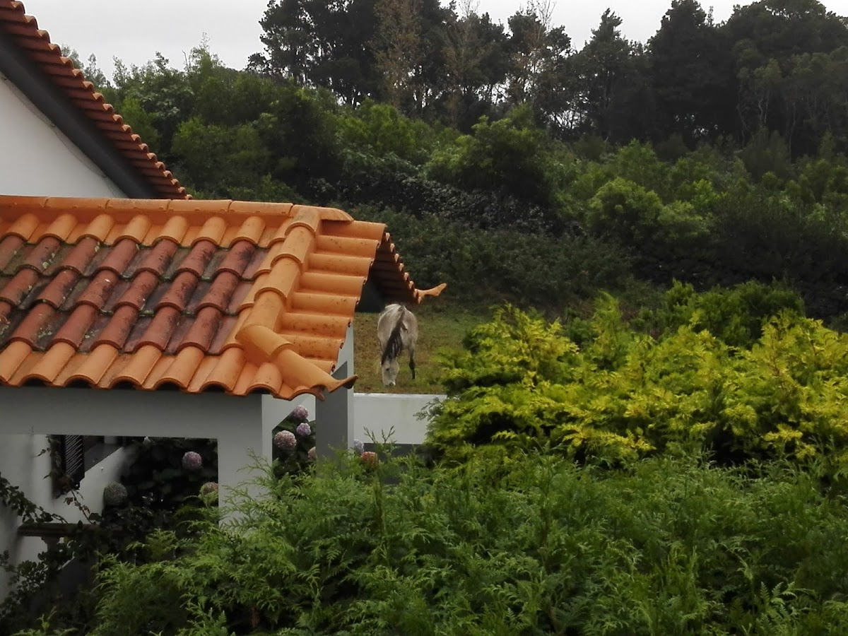 Casa da Borboleta