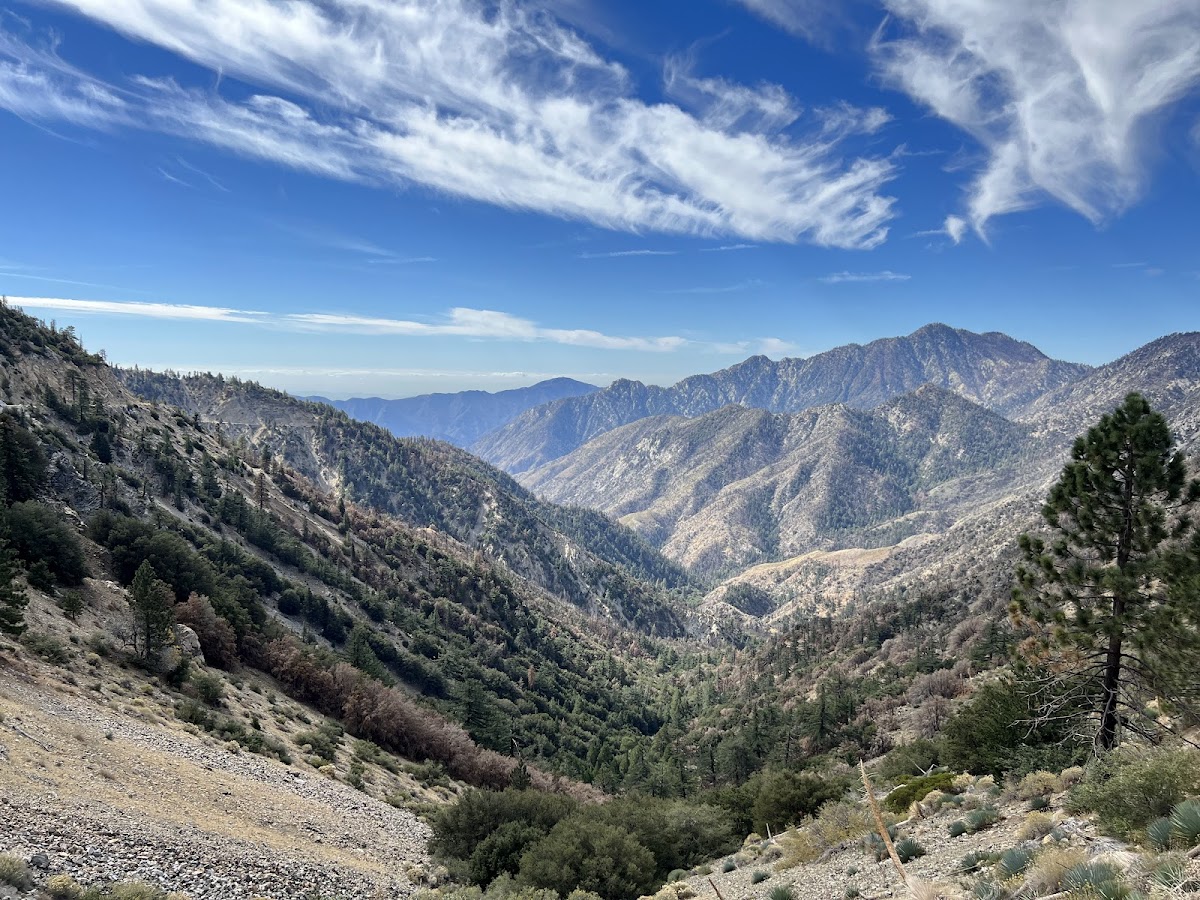 Angeles National Forest