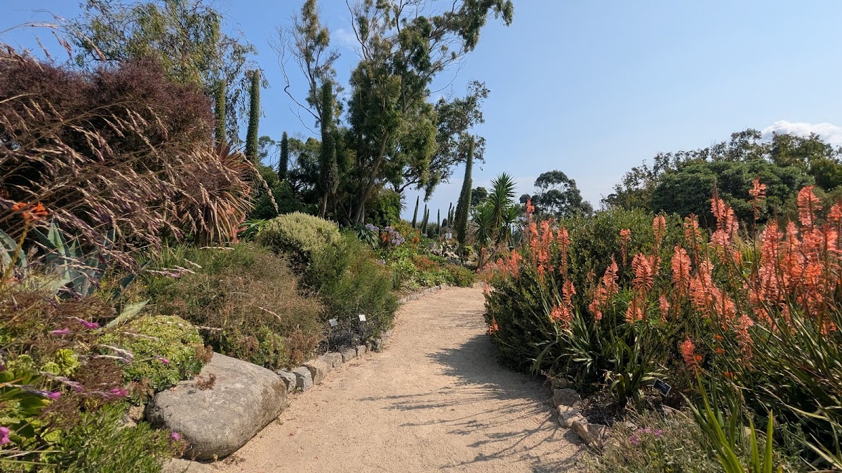 The Exotic Garden of Roscoff