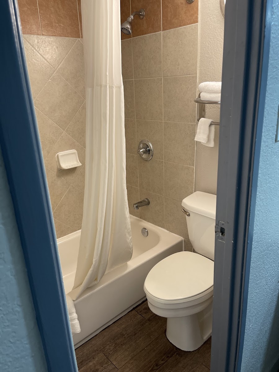 Room 8