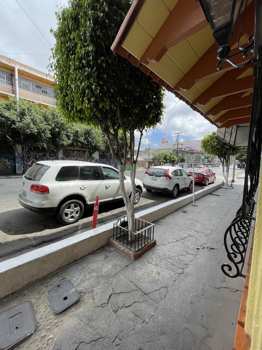 Hotel Adelita photo 3