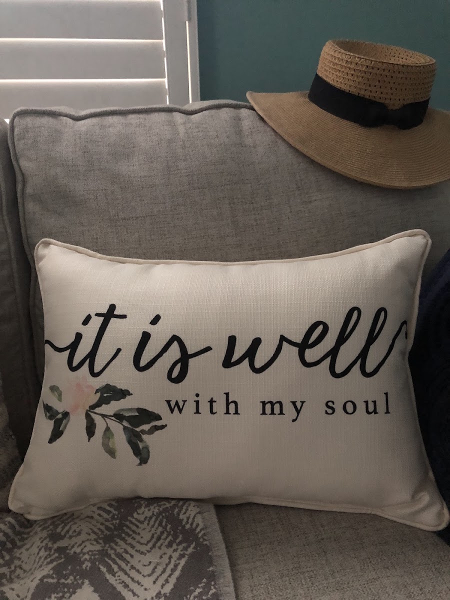 Little Birdie Pillow Co The