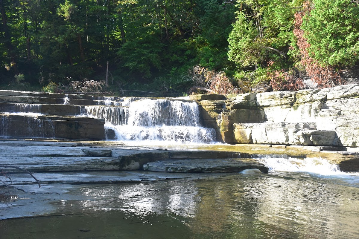 Wintergreen Park