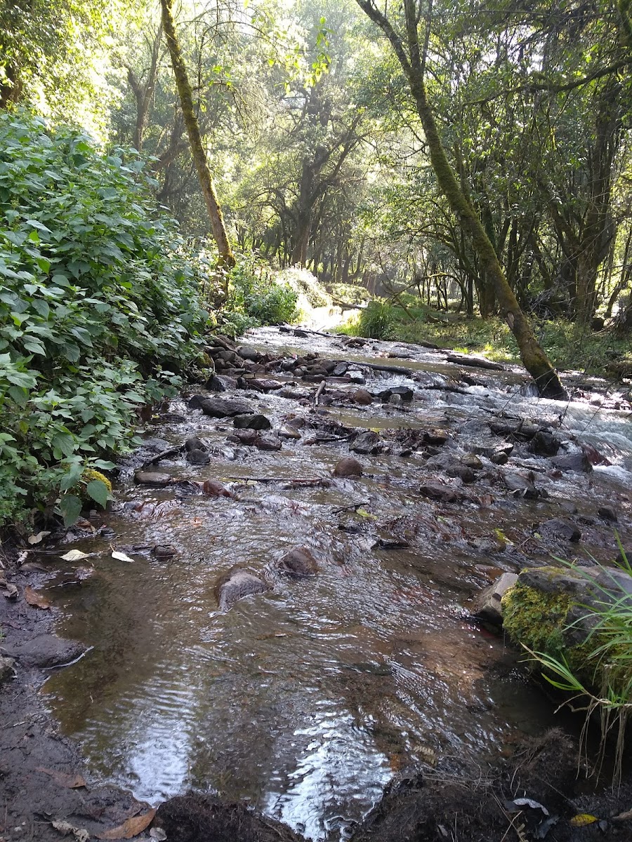 Parque ecoturístico dos aguas