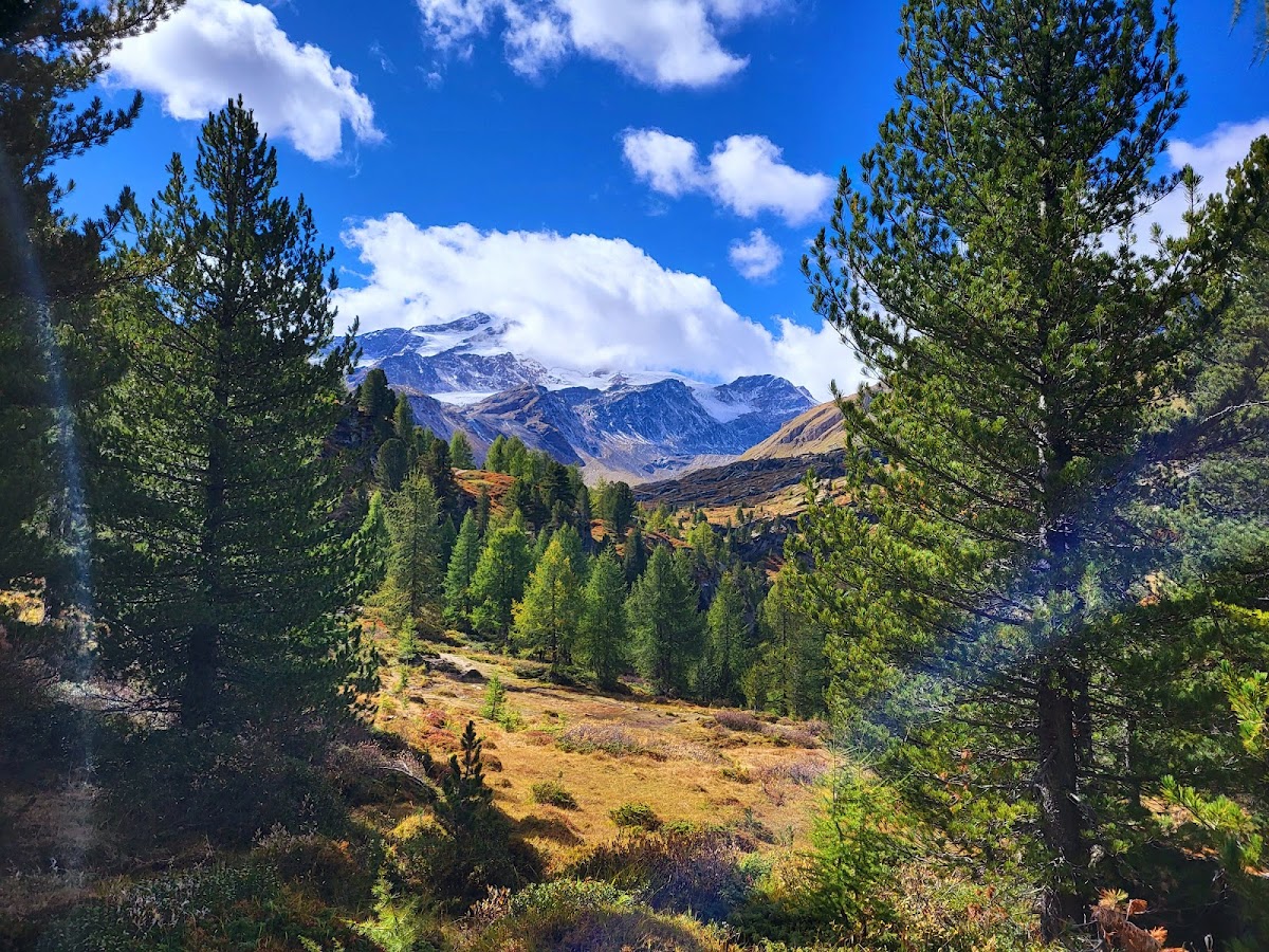 Val Martello