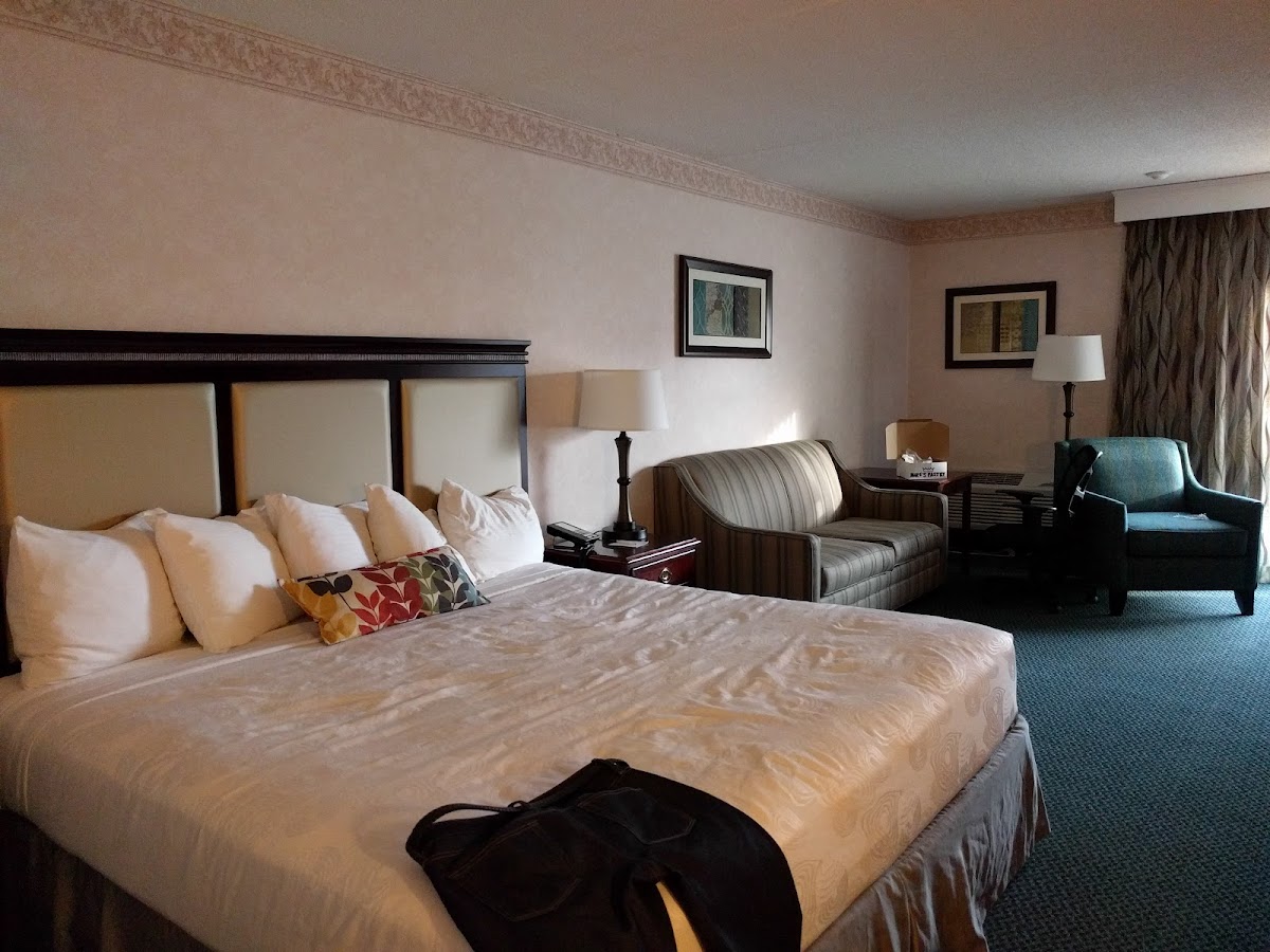 Room 5