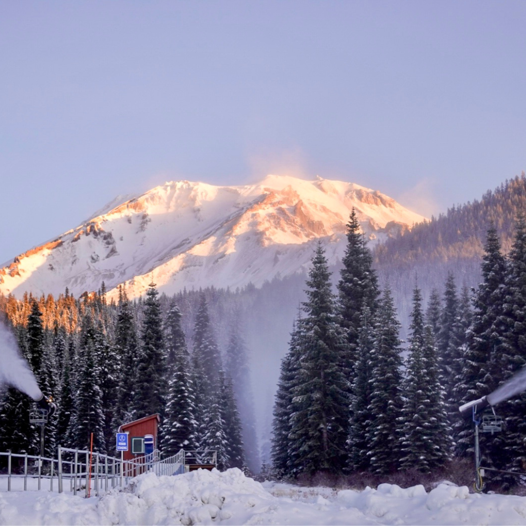 Mt. Shasta Ski Park