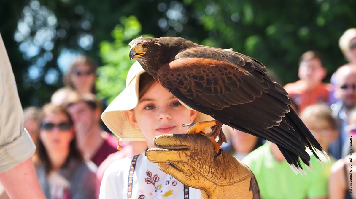 The Eagle Park