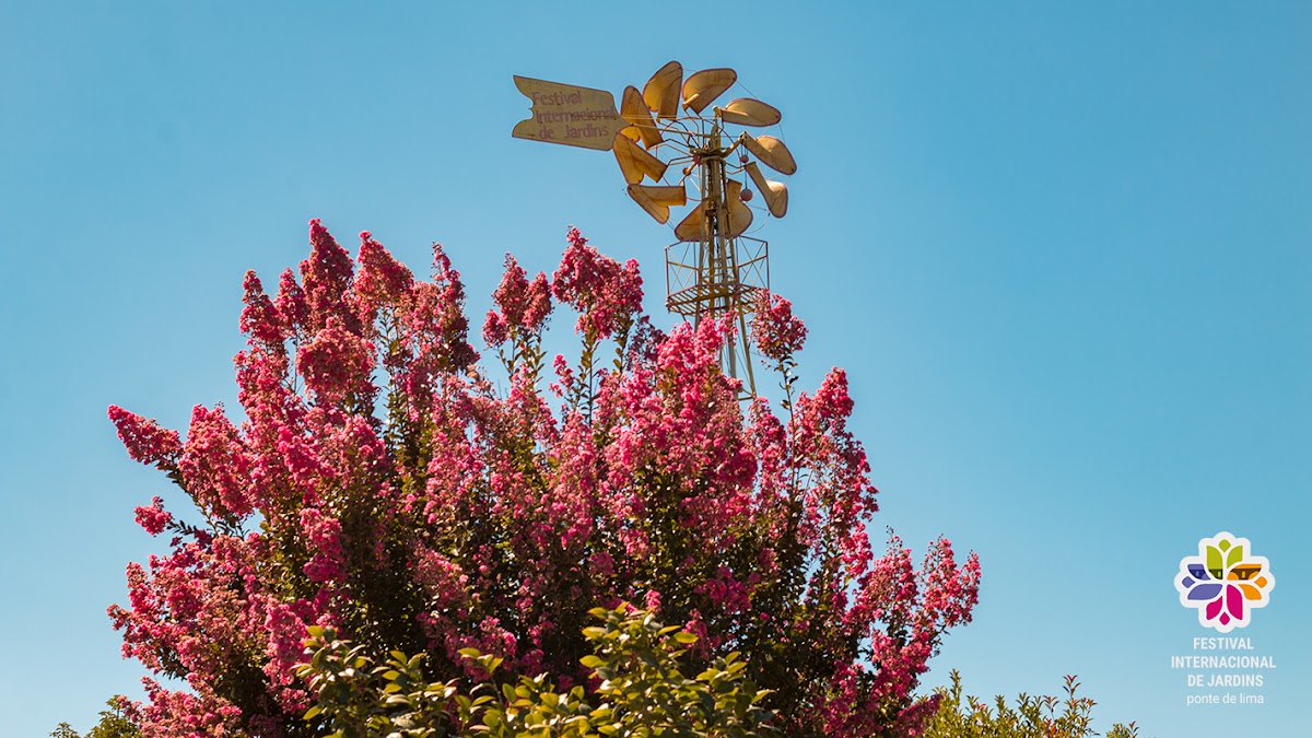 International Garden Festival