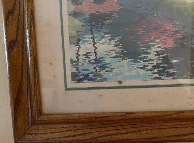 Country Inn Motel & RV park