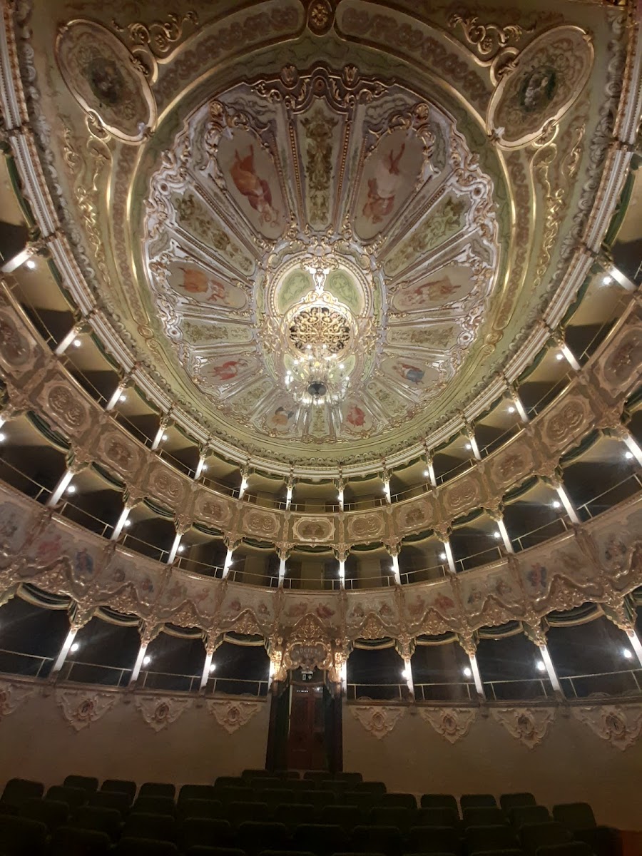 Collezione 