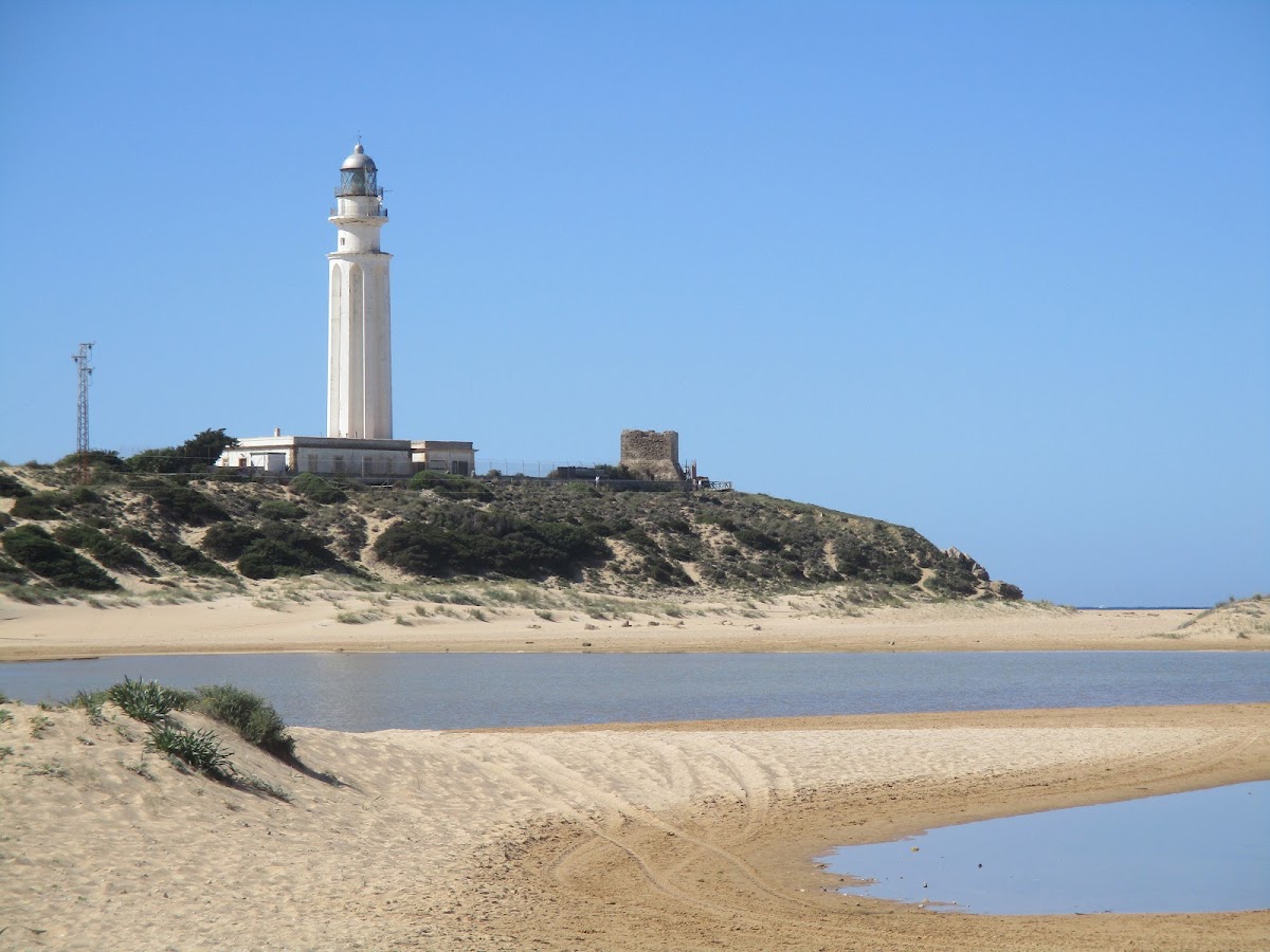 Cape Trafalgar