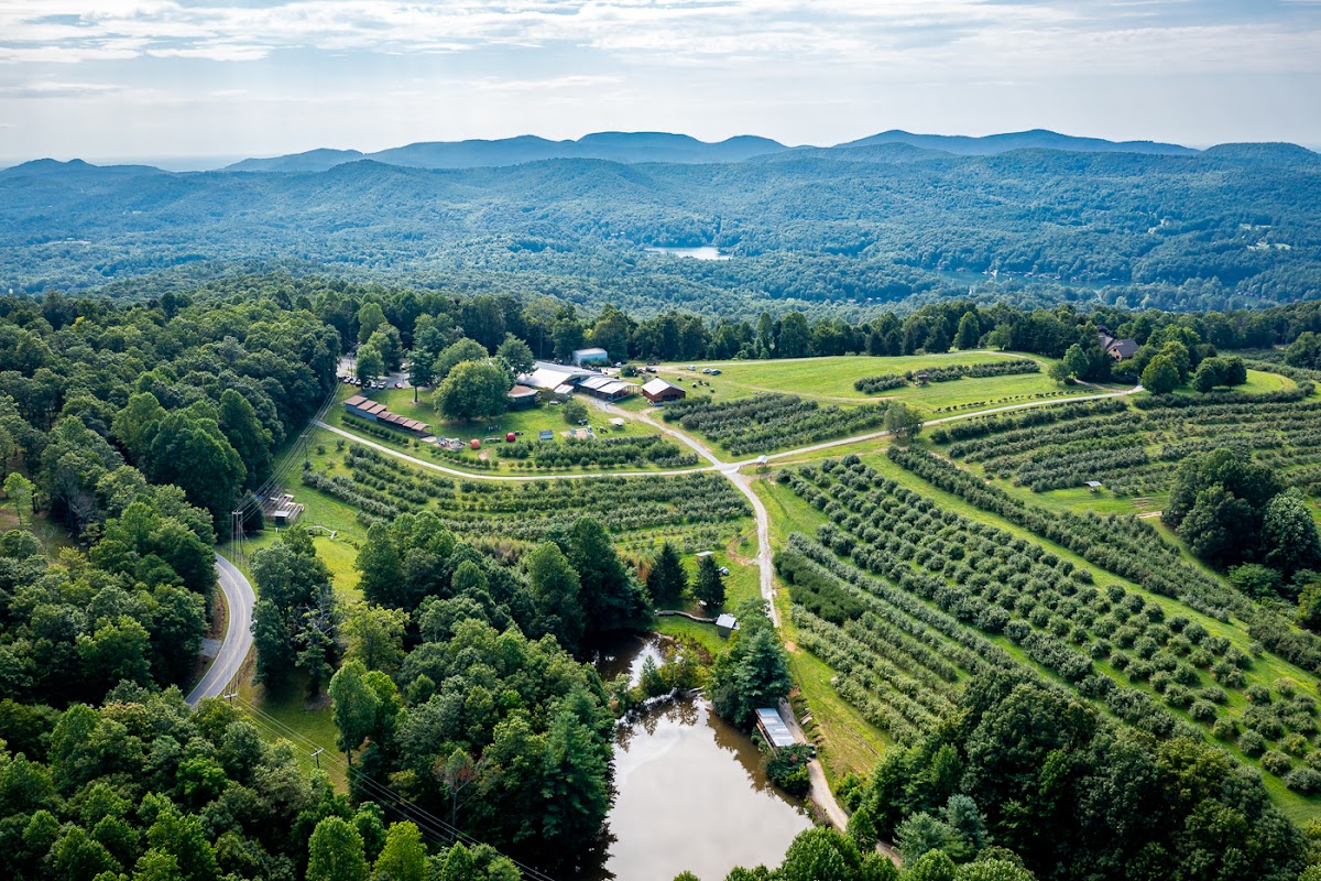 Sky Top Orchard