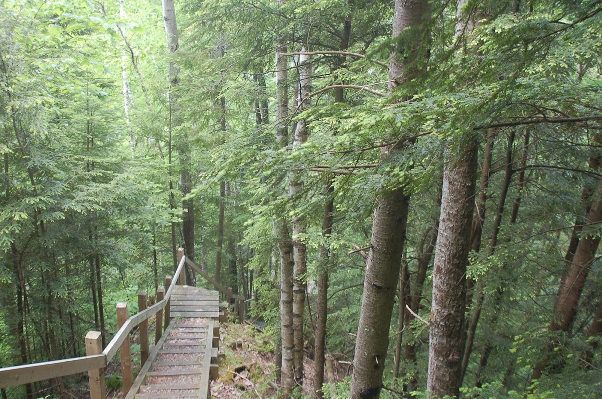 Parc Régional des Chutes Monte-à-Peine et des Dalles | Entrée Sainte-Béatrix