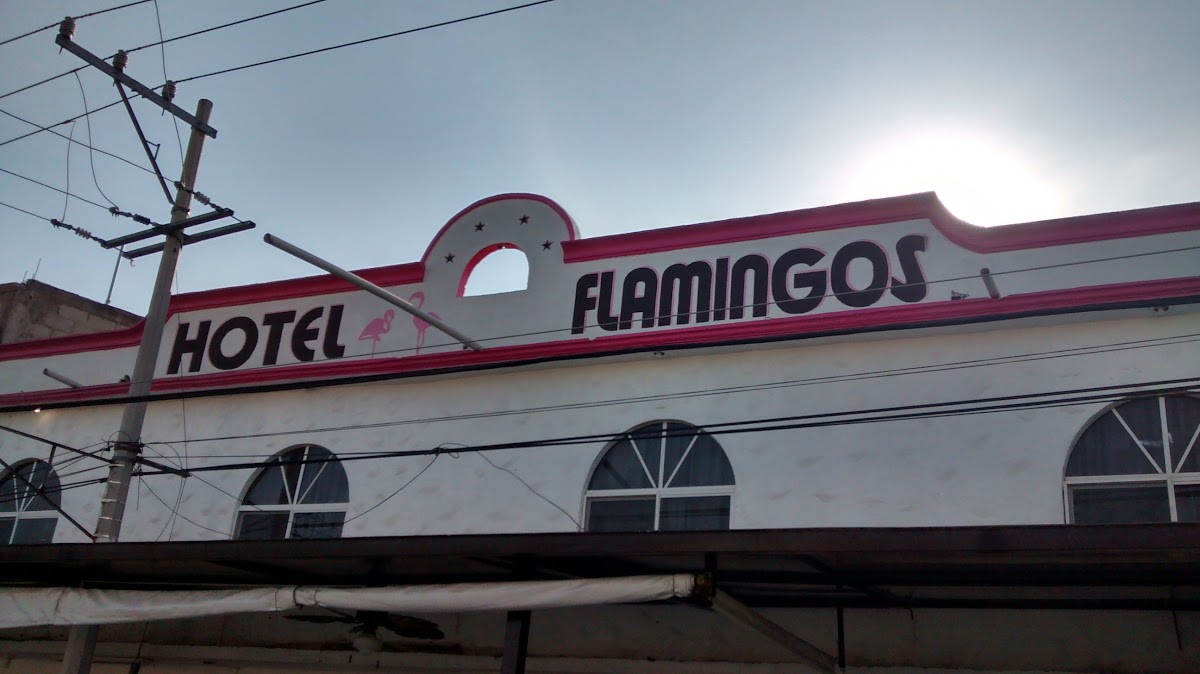 Hotel Flamingos