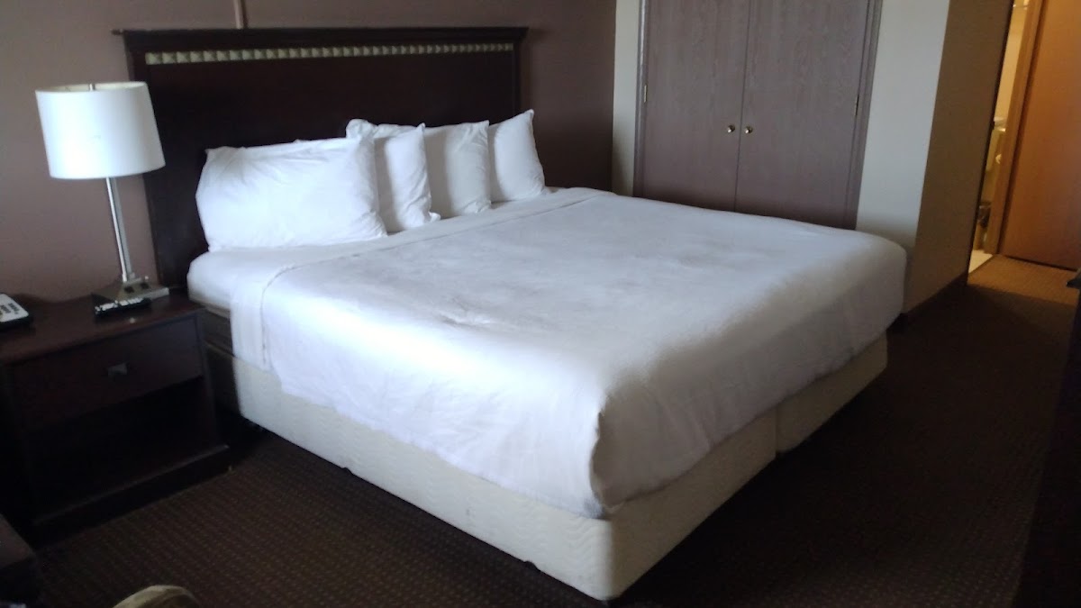 Room 8